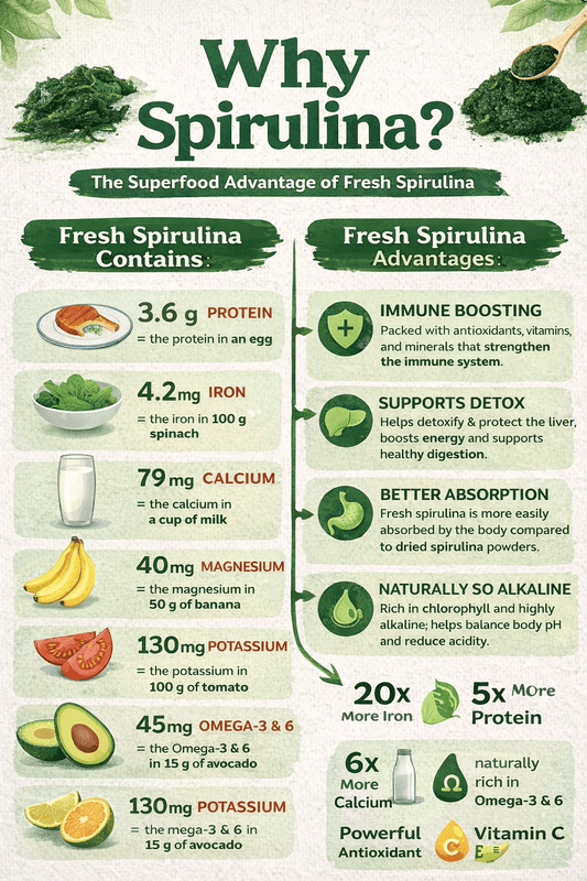 Fresh algae nutrition